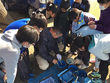 2015年1月28・29日　小田原市立下府中小学校　塀・遊具・ベンチ塗装写真１